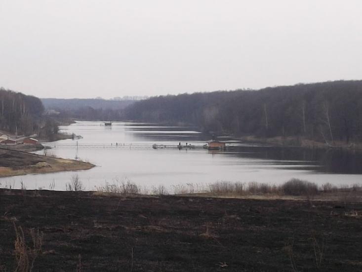 Польова з panoramio.com - Полевая