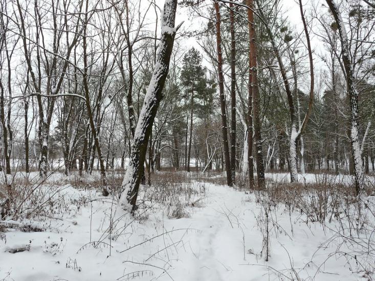 Тетерівка з panoramio.com - Тетерівка
