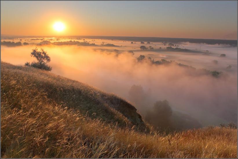 Задонецьке з panoramio.com - Zadonetske