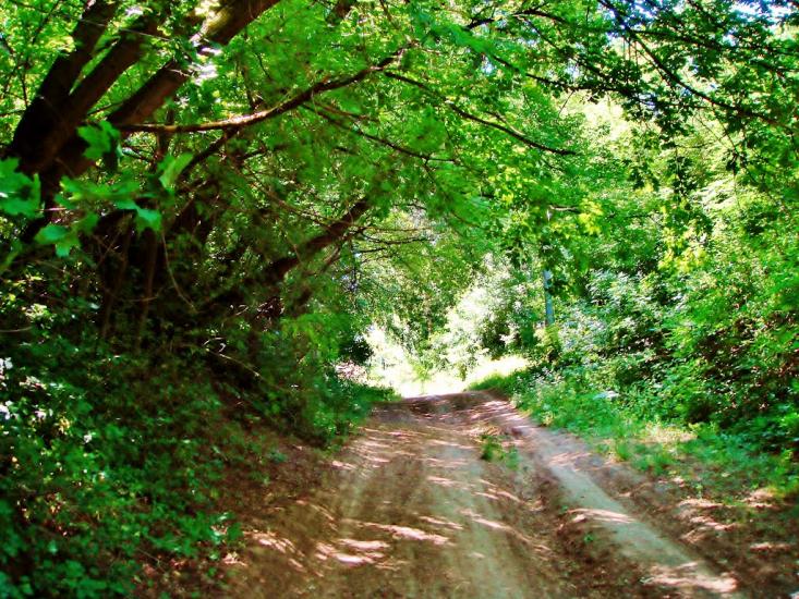 Козацьке з panoramio.com - Казацкое