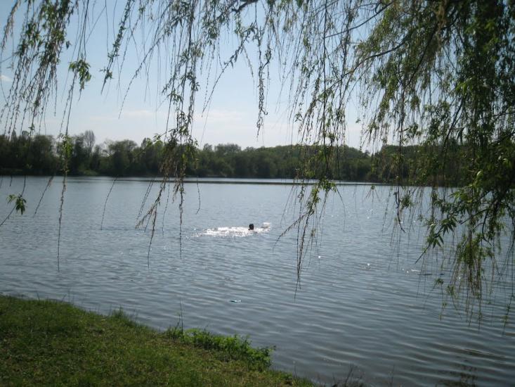 Онуфріївка з panoramio.com - Онуфріївка