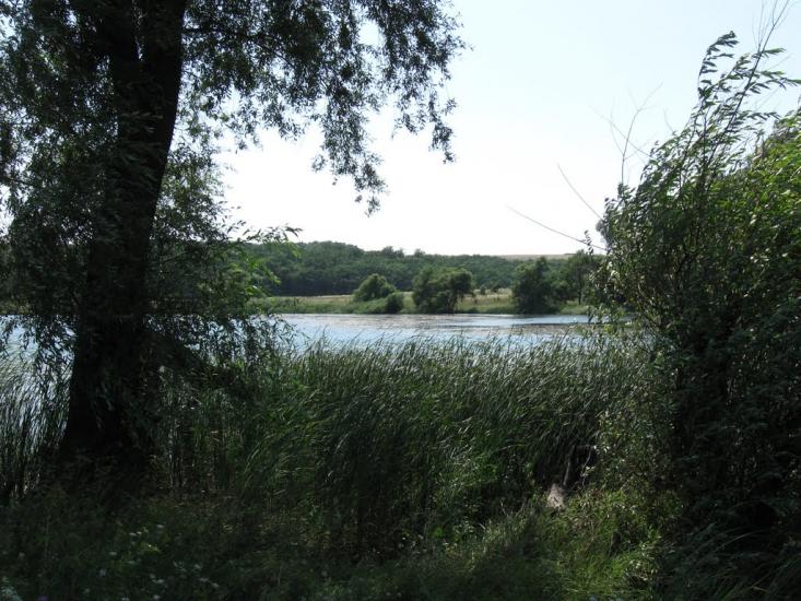 Андріївка з panoramio.com - Андріївка