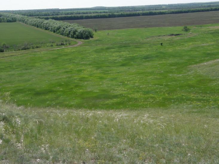 Георгіївка з panoramio.com - Георгіївка