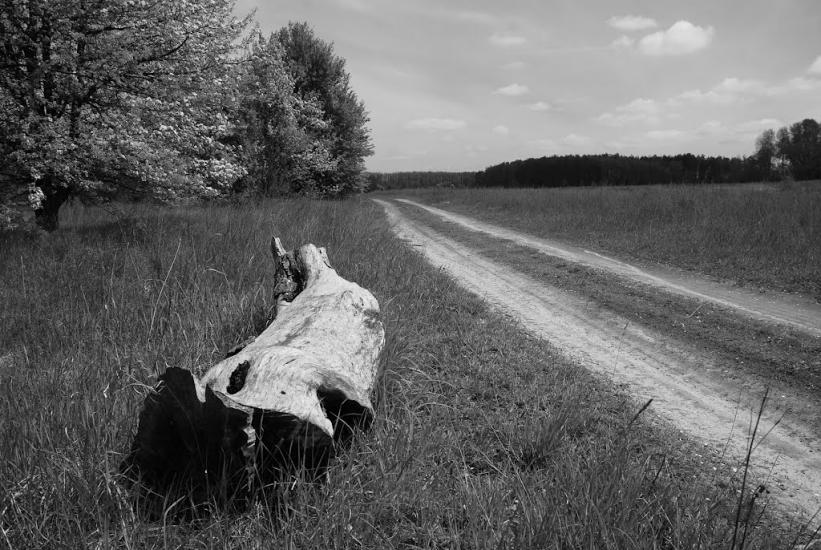 Вітрівка з panoramio.com - Вітрівка