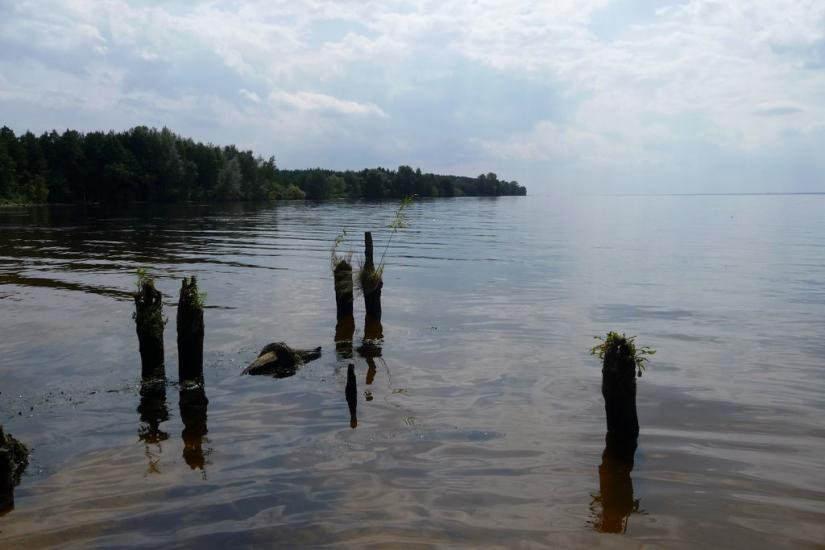 Ровжі з panoramio.com - Ровжи