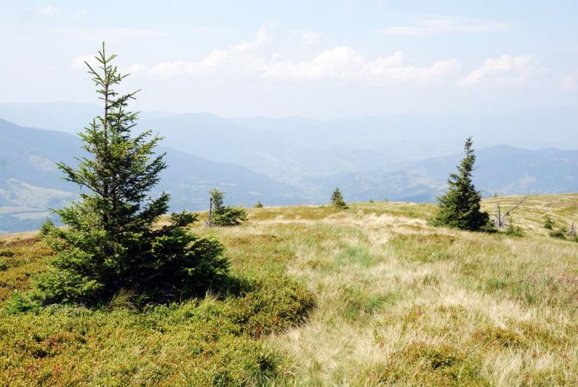 Заверхня Кичера з panoramio.com - Заверхняя Кичера