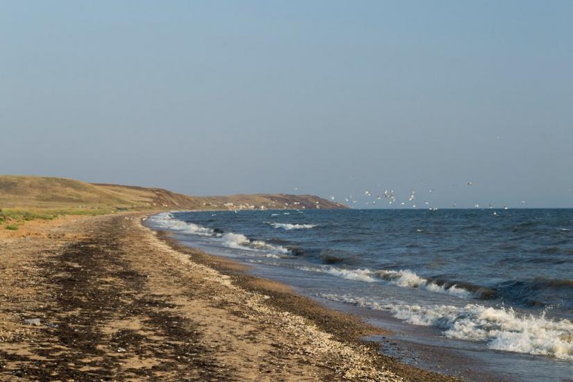 Войкове з panoramio.com - Войкове