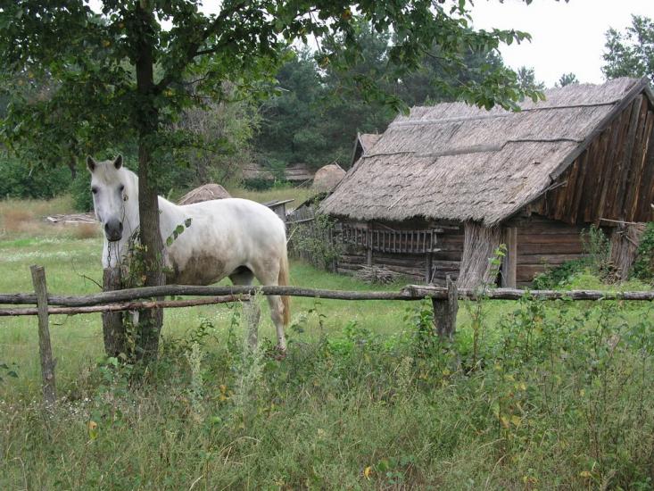 Сваловичі з panoramio.com - Svalovychi