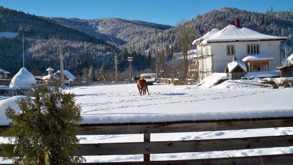 Шепіт з panoramio.com - Шепіт