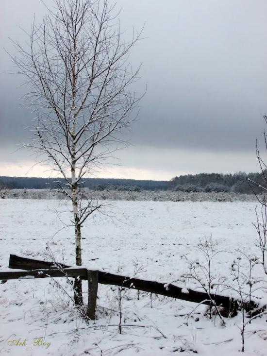 Руська Гута з panoramio.com - Руська Гута