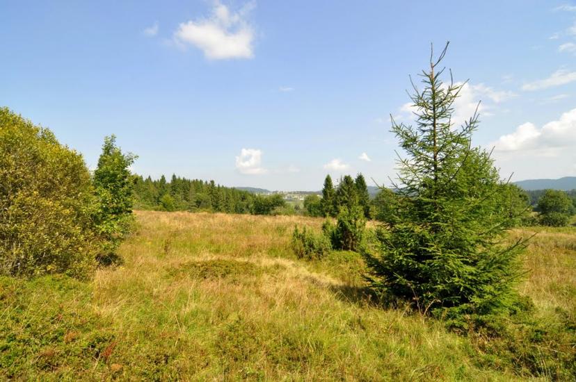 Сянки з panoramio.com - Сянки