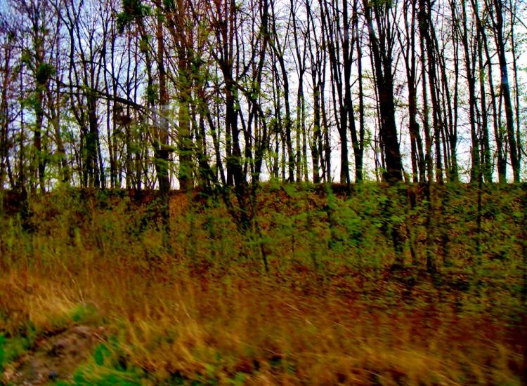 Лисянка з panoramio.com - Lysyanka