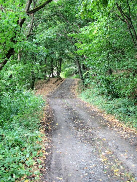 Головчинці з panoramio.com - Головчинцы
