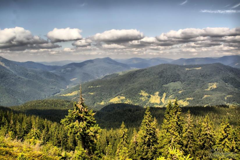 Заверхня Кичера з panoramio.com - Заверхняя Кичера