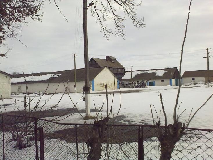 Черемошне з panoramio.com - Cheremoshne