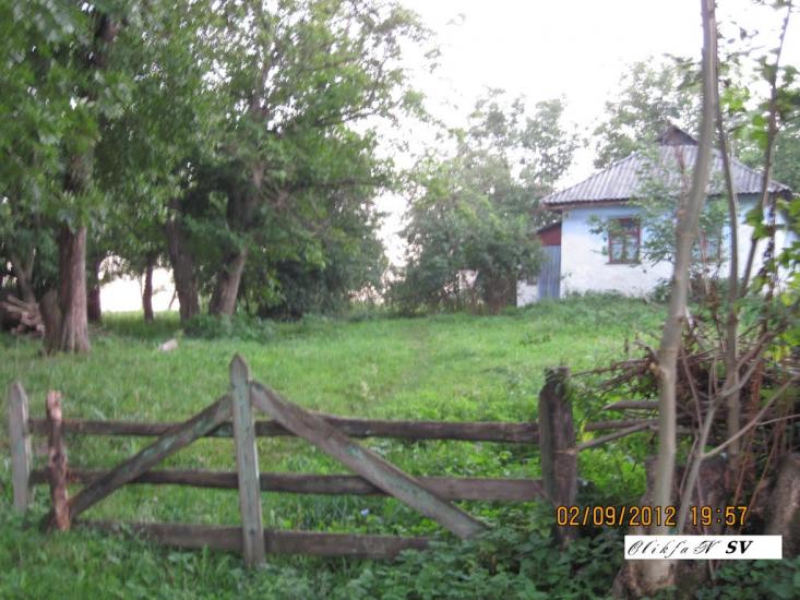 Галузинці з panoramio.com - Галузинці