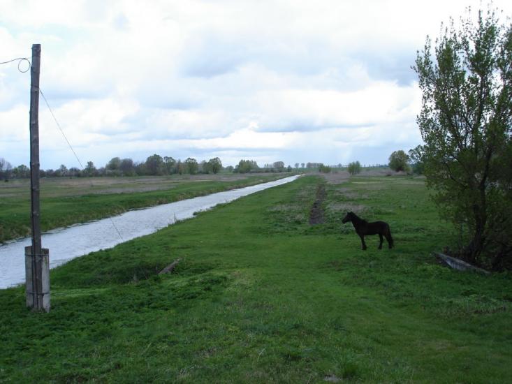 Петрівське з panoramio.com - Петрівське