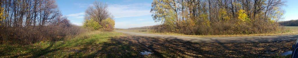 Ольгинка з panoramio.com - Olgynka