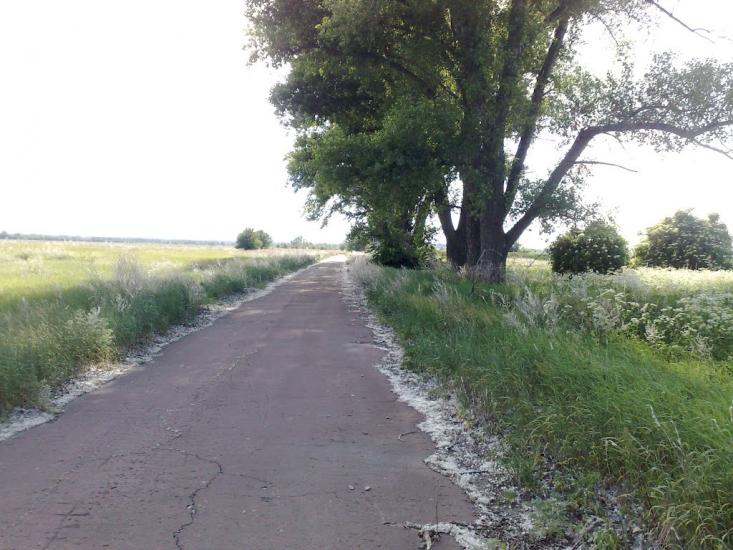 Савин з panoramio.com - Савин