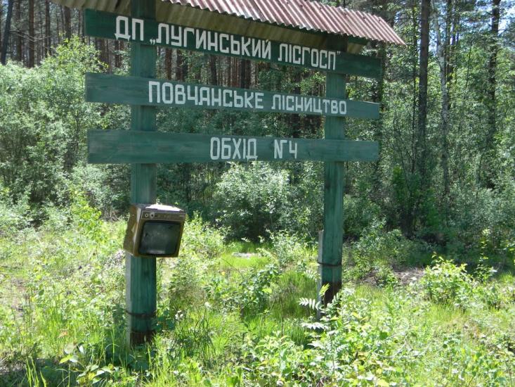 Буда з panoramio.com - Буда