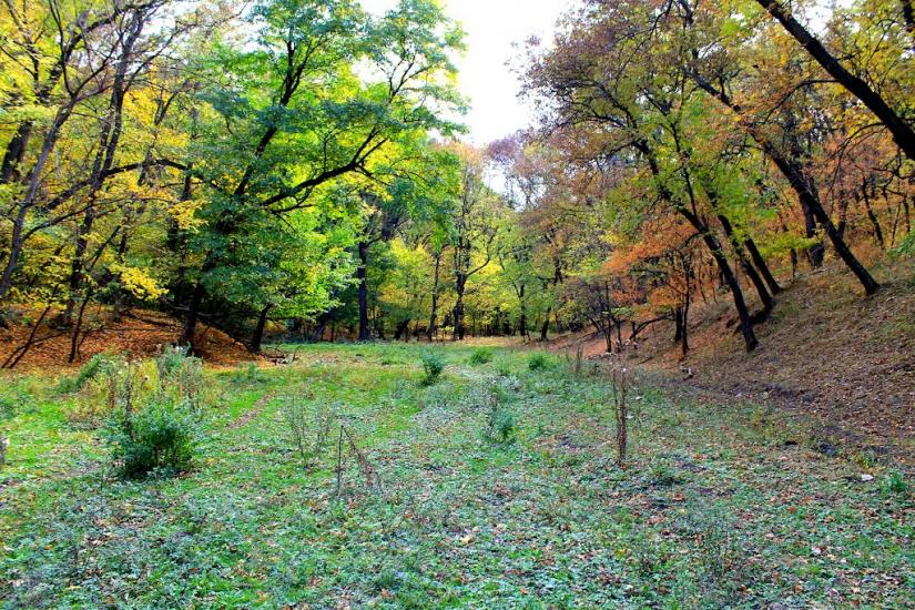 Сніжне з panoramio.com - Снежное