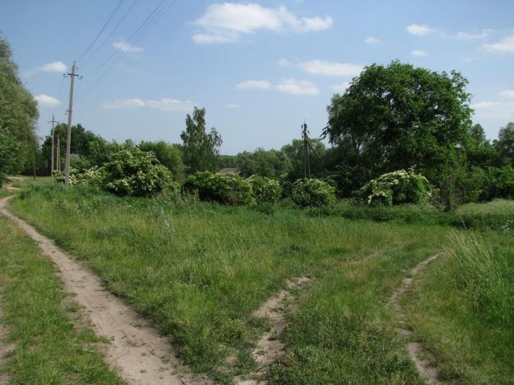 Лютенські Будища з panoramio.com - Лютенские Будища