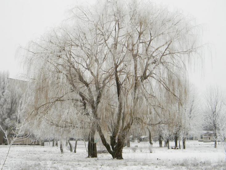 Синельникове з panoramio.com - Синельниково