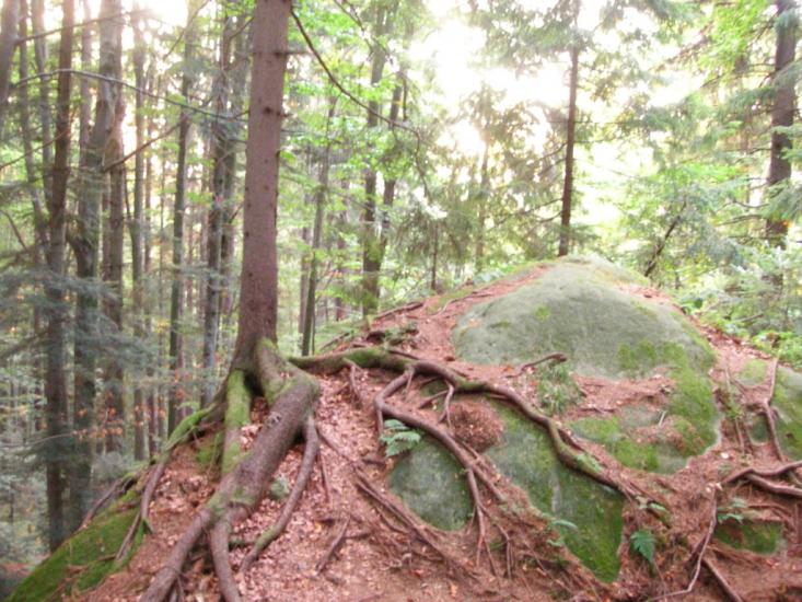 Хорови з panoramio.com - Khorovy