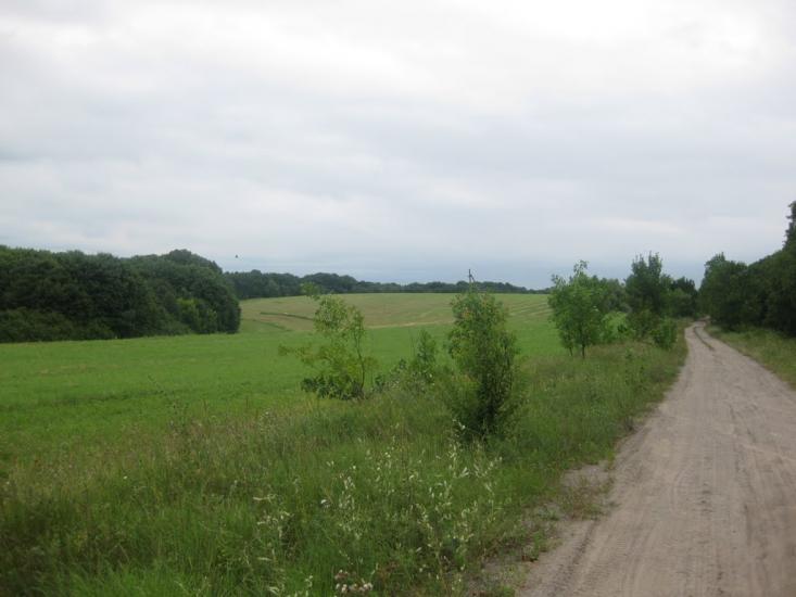 Садки з panoramio.com - Садки