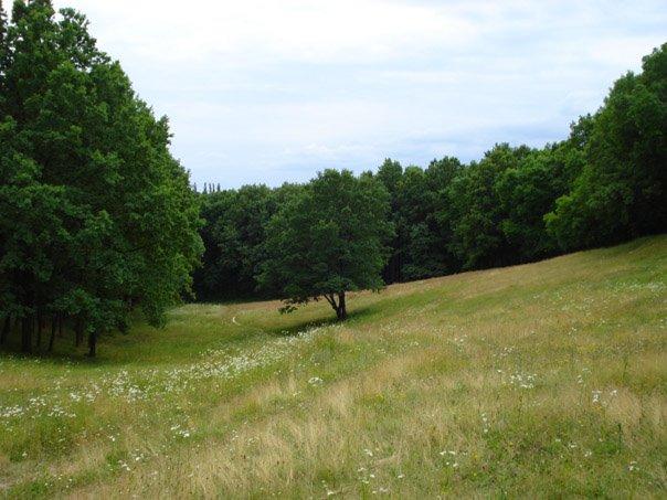 Люботин з panoramio.com - Люботин