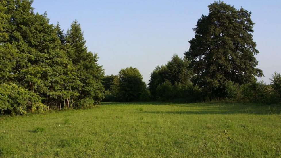 Пашенівка з panoramio.com - Пашеновка