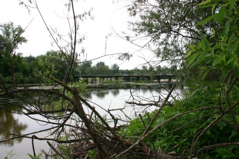 Курган з panoramio.com - Kurgan