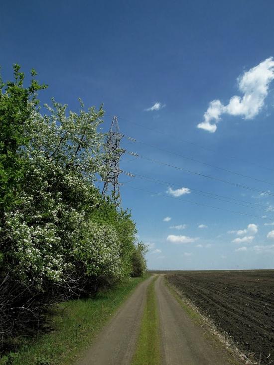 Новоіванівка з panoramio.com - Новоивановка