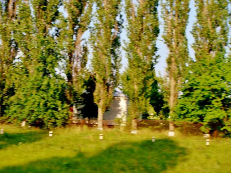 Лисянка з panoramio.com - Lysyanka