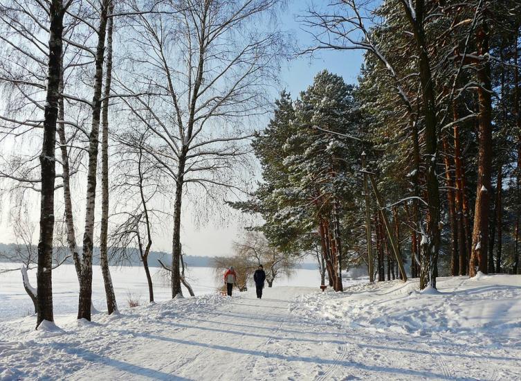 Тетерівка з panoramio.com - Тетерівка