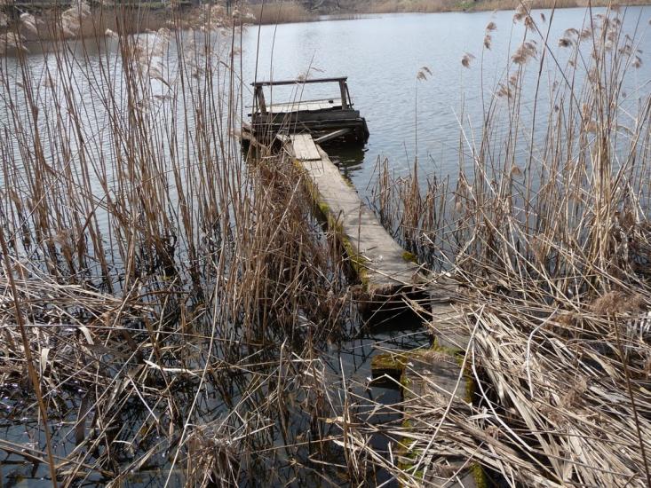 Ровжі з panoramio.com - Ровжи