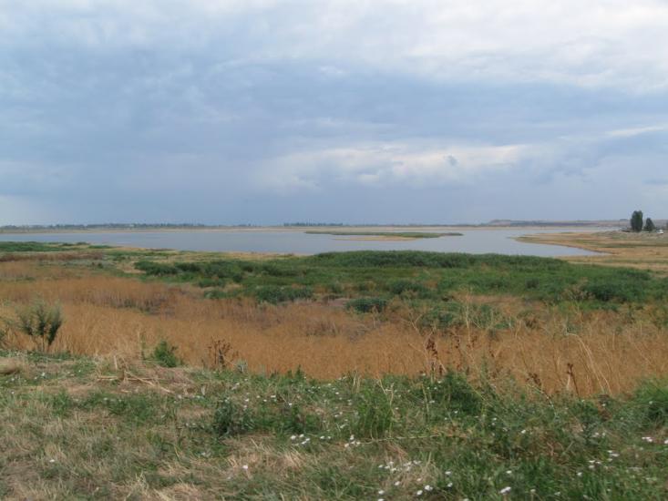 Світле з panoramio.com - Светлое