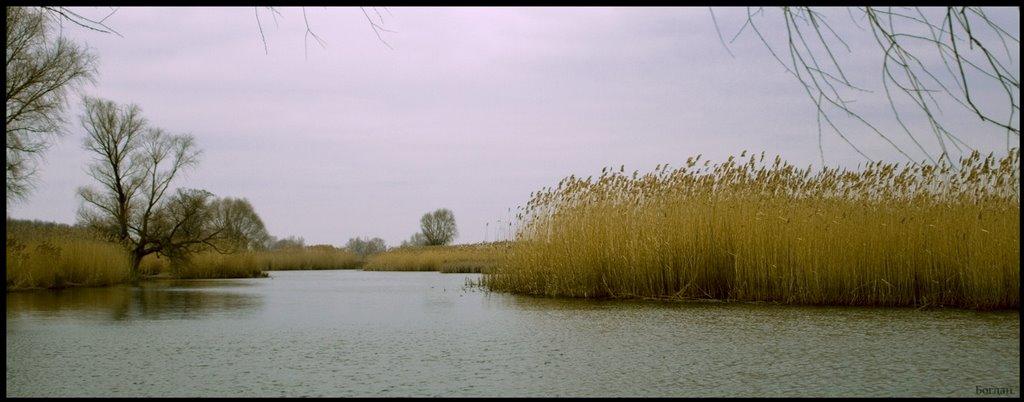Червона Слобода з panoramio.com - Червона Слобода
