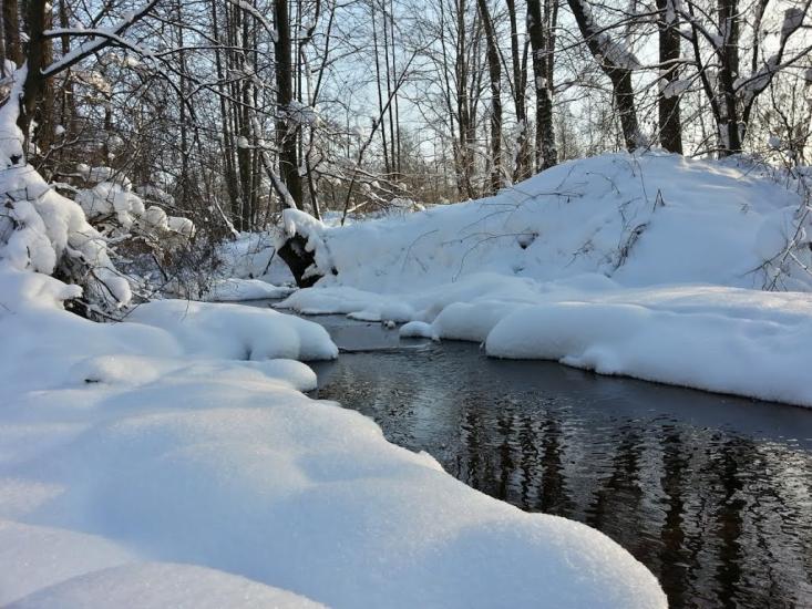 Симони з panoramio.com - Симони