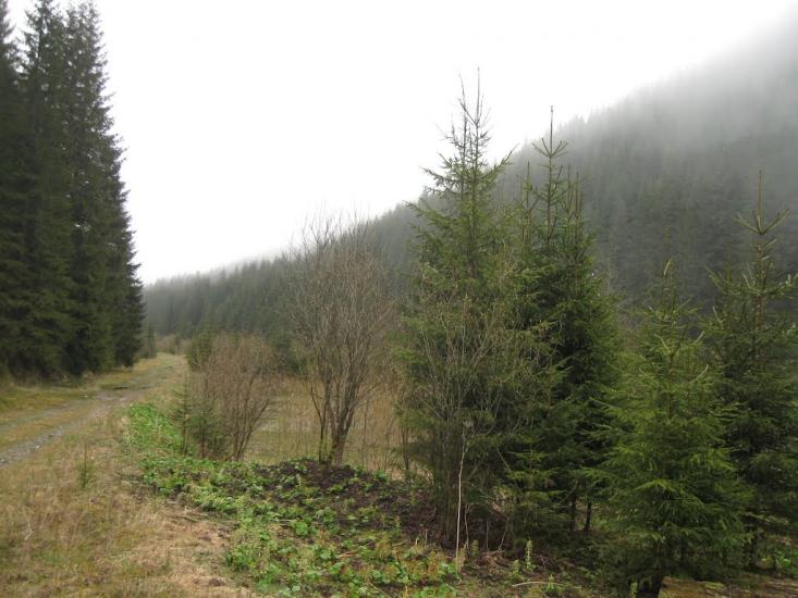 Пробійнівка з panoramio.com - Пробійнівка