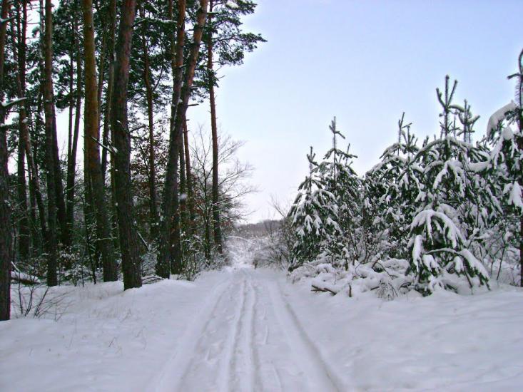 Пугачівка з panoramio.com - Пугачівка