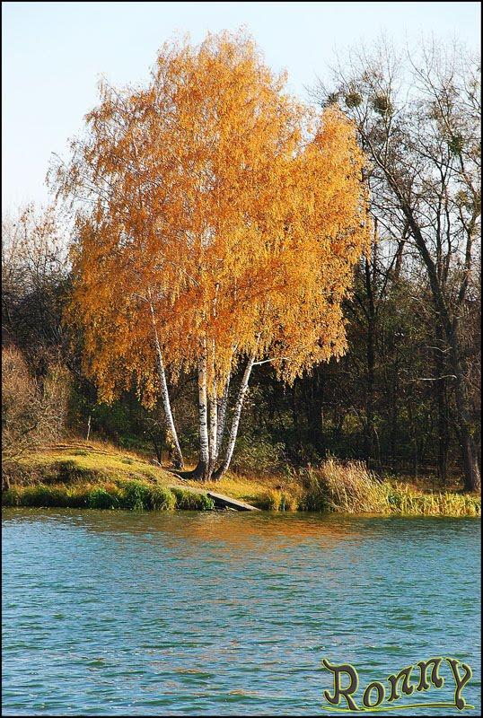 Тетерівка з panoramio.com - Тетерівка