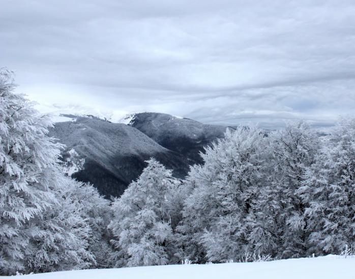 Кваси з panoramio.com - Квасы