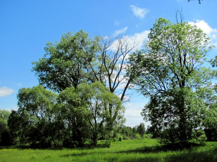 Карасин з panoramio.com - Карасин