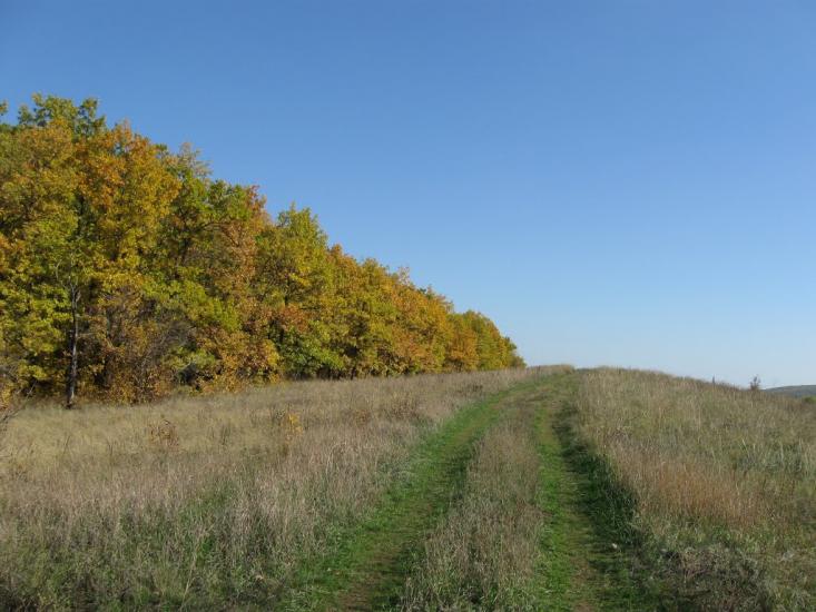 Андріївка з panoramio.com - Andriyivka