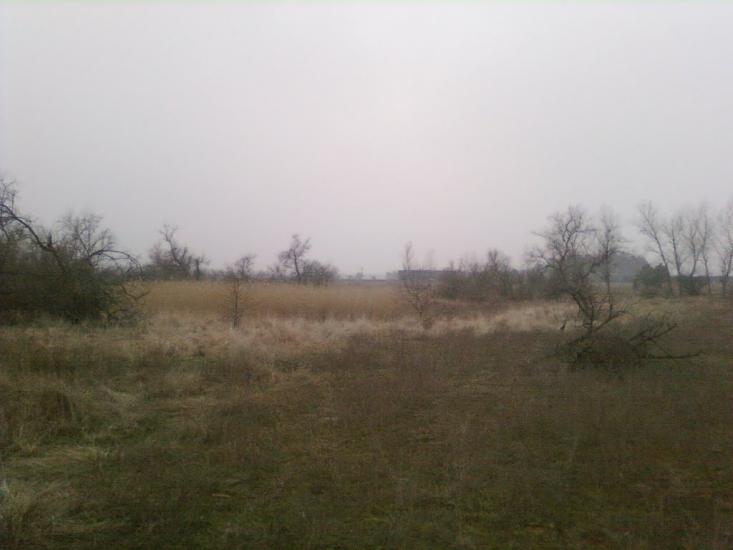 Підстепне з panoramio.com - Підстепне