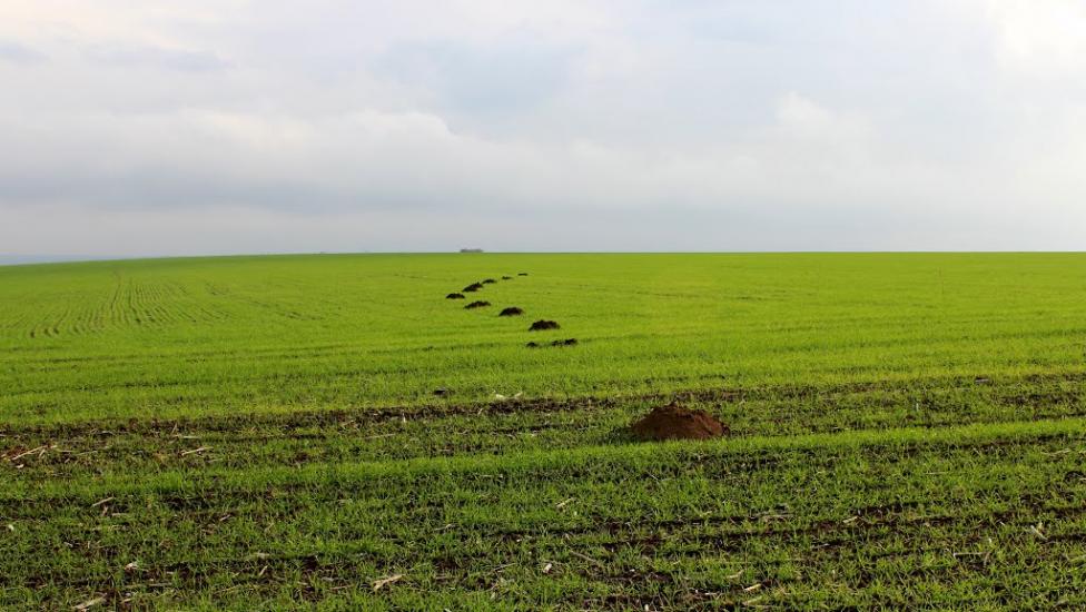 Трикрати з panoramio.com - Трикрати