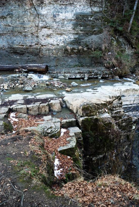 Кричка з panoramio.com - Кричка