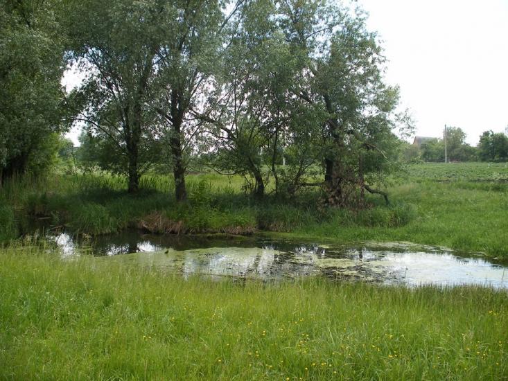Миронівка з panoramio.com - Мироновка