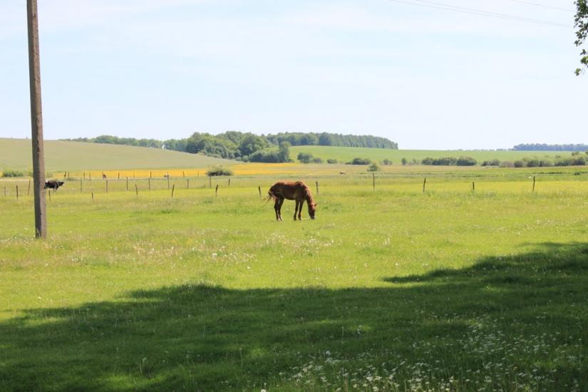 Швайківка з panoramio.com - Shvaykivka